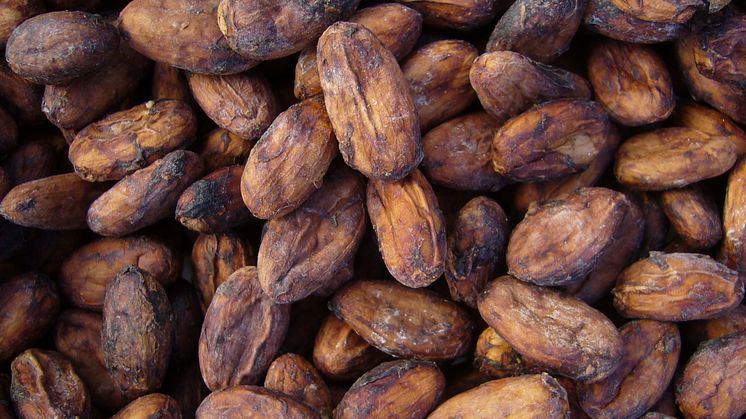 Fler än 80 församlingar "Kyrka för Fairtrade"