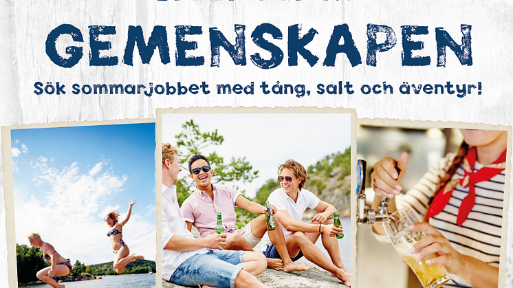 Från snötäckta berg till saltstänkta klippor, Daftö Resort rekryterar säsongspersonal i Sälen och Branäs