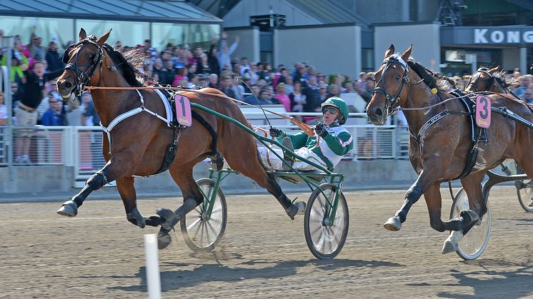Rekordstort utländskt intresse för Elitloppet 