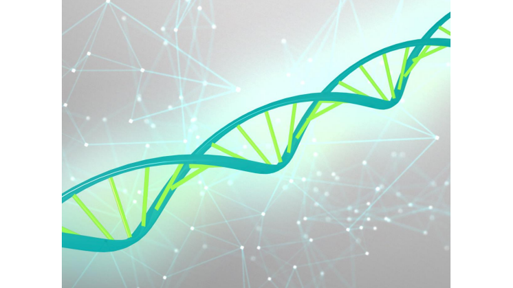 Single Pair Ethernet is becoming the DNA of the Industrial Internet of Things 