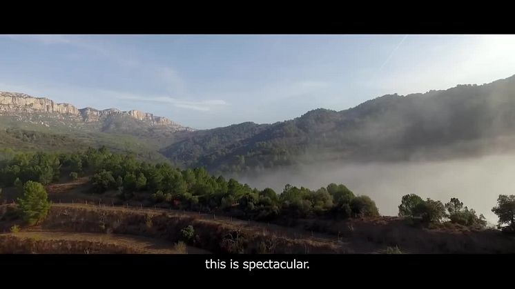 Taste Catalonia