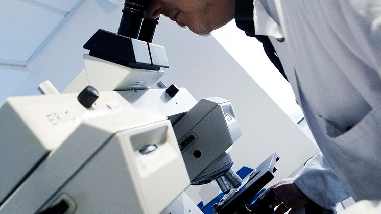 Hair and textiles go under the microscope at gathering of forensic science specialists