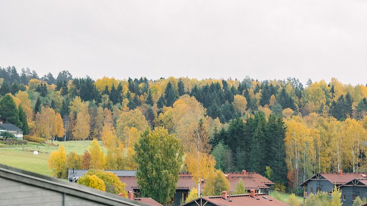 Solör Bioenergi köper energibolag 