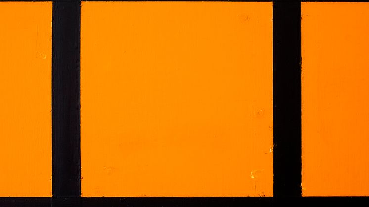 Ann Edholm, Tounge on the Tip – Stans (detail), 2006. Courtesy of the artist.