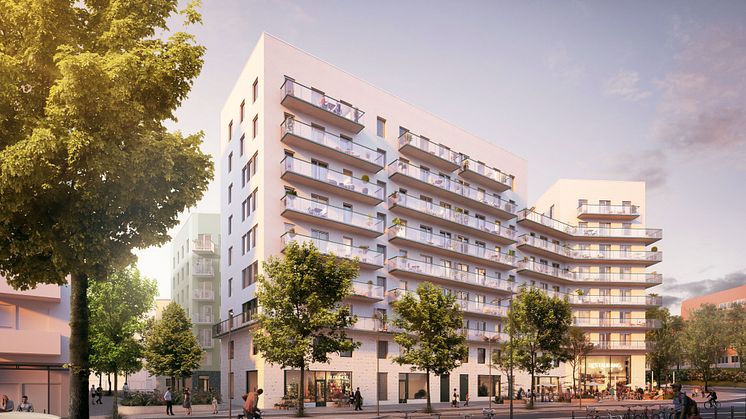 Hestur Vision Kod Arkitekter.jpg