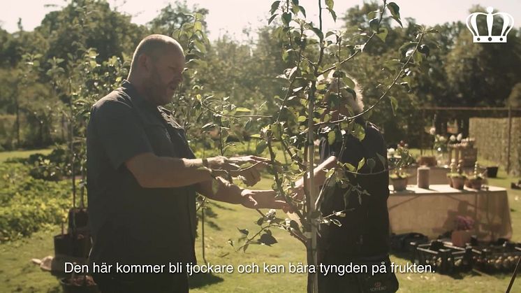 Fyra nyanser av sensommar  – John Taylor 