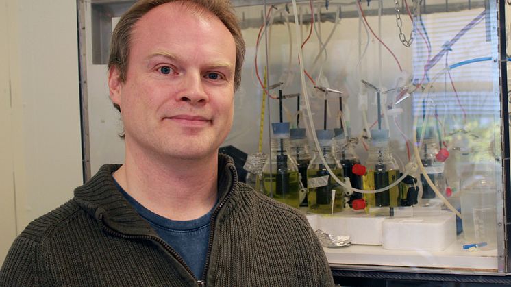 Magnus Sjöblom, forskare inom biokemisk processteknik