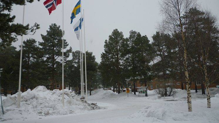 Koulutus Nordissa vietetään Pohjolan päivää