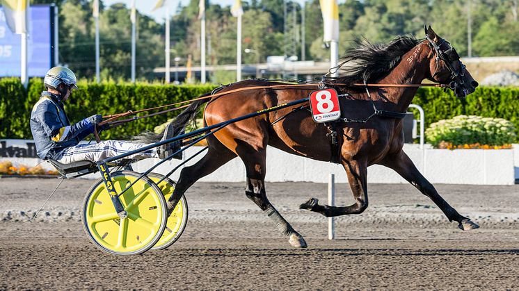 Click Bait klar för Elitloppet 2021