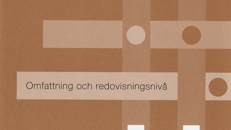 Geokonsultens uppdrag. Omfattning och redovisningsnivå