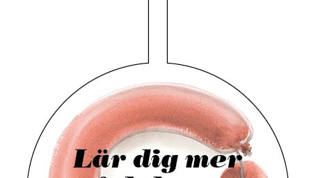 Vippa, "Lär dig mer om falukorvens historia!"