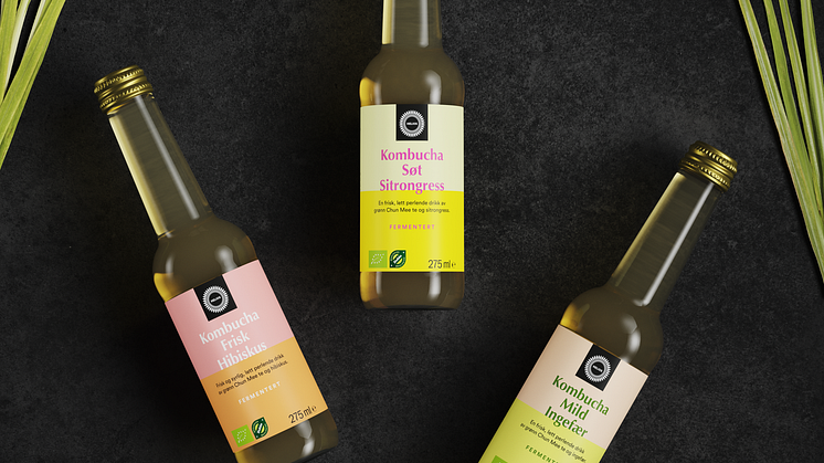 Helios lanserer kombucha 