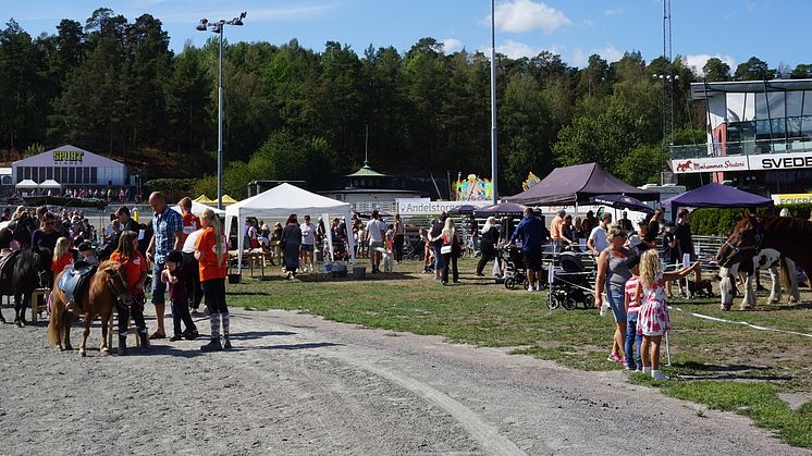 Ekostigen och Svensk glass-nyhet under Djurens Helg