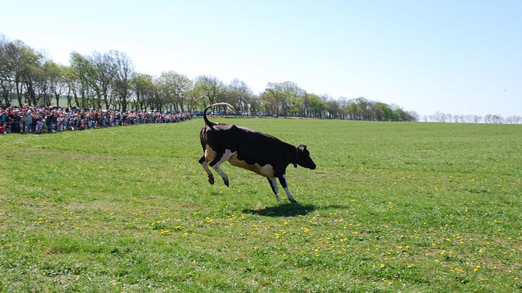 Betessläpp