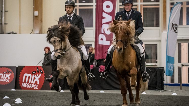 Sebastian Benje på Hosias från Engholm och Vignir Jonasson på Fengur  från Backome under hingstshowen.