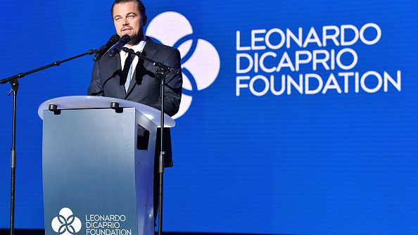 Leonardo DiCaprio Foundation (Getty Images)