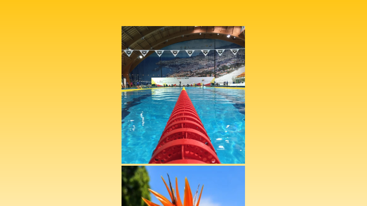 Media Guide - Sweden Para Swimming - European Championships - Madeira 2021.pdf