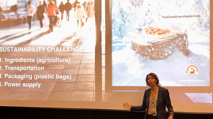 Chefsstrateg Anna Borgeryd