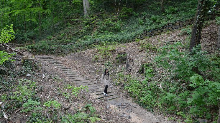 Grimma - Wandern an der Mulde