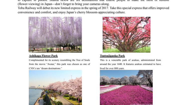 [ENGLISH] Cherry Blossoms, Wisteria, and Other Springtime Flower-Viewing Information