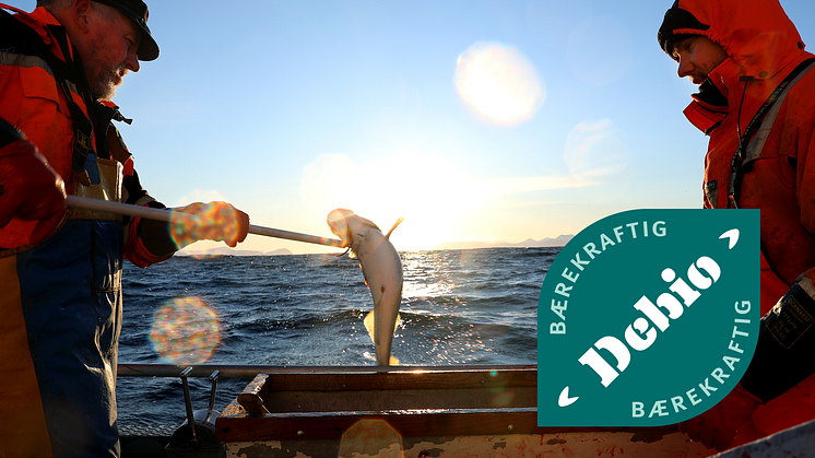Den nye merkeordningen for bærekraftige fiskeprodukter garanterer fisk fra godt forvaltede bestander, fanget uten bunntrål og foredlet i Norge.