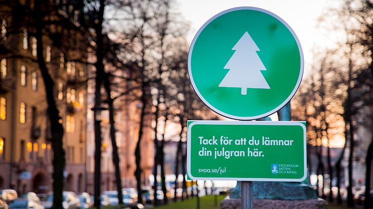 Från den 25 december organiseras närmare nittio fasta uppsamlingsplatser för julgranar i Stockholm. Aktuell information om var finns på SVOA.se/jul.