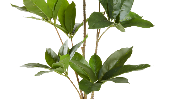 Kunstplant TRISTAN H90 cm.png