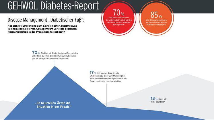 GEHWOL Diabetes-Report 2019-2020