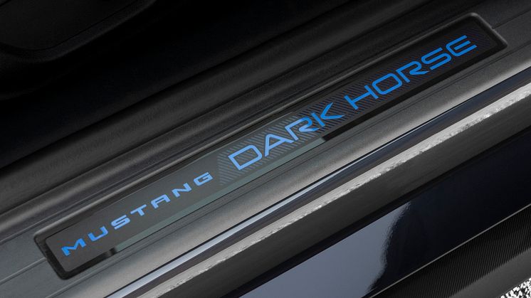 2024 FORD MUSTANG DARK HORSE (27)