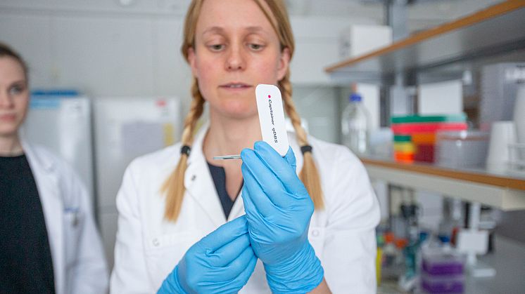 Julia Wigren Byström, vd på Xerum.