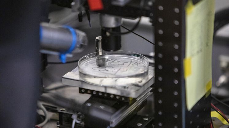 Att gå från idé inom medicinsk teknik till lyckad produktlansering innebär ofta en omfattande och tidskrävande process. Foto: Mattias Pettersson