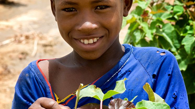 Kia - Planting for a Better Life