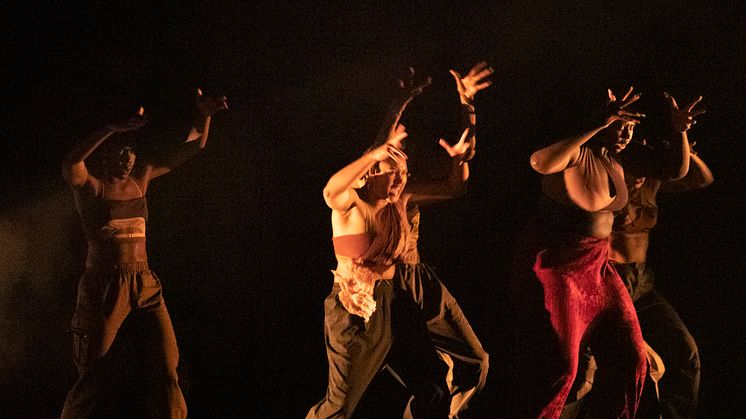 Company Nicolas Huchard - The barefoot diva