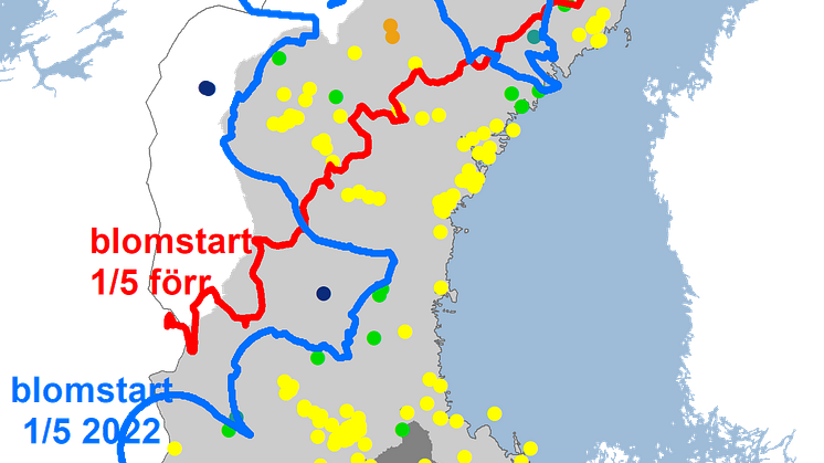blå2022