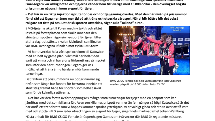 ”15 000 dollar-segern som lyfter gaming för tjejer”