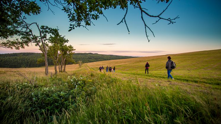 abendlicher Start zur Vollmondwanderung 