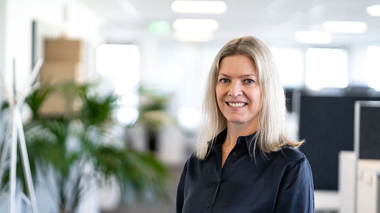 Willhem rekryterar IT-och digitaliseringschef 