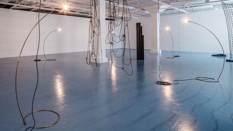 Discrepancies with G.G. av Leonor Antunes på Tensta konsthall 