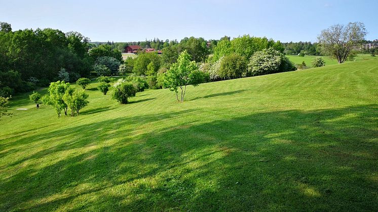 Sommar i Järva DiscGolfPark