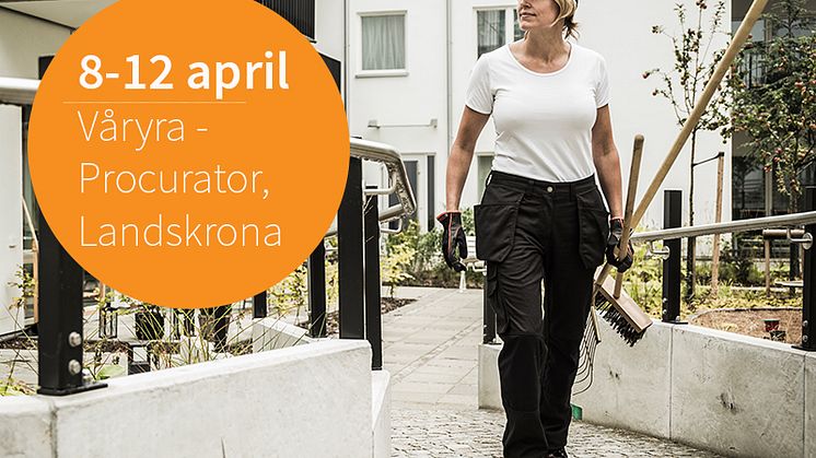 Våryra i Procuratorbutiken i Landskrona