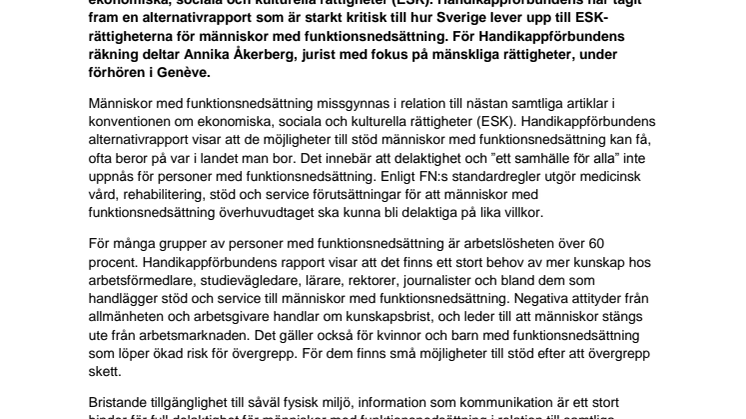 Handikappförbunden kritiserar svenska regeringen i Genève