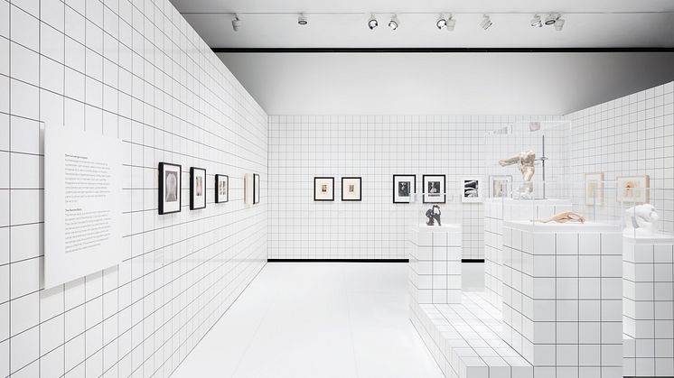 Images from the exhibition space