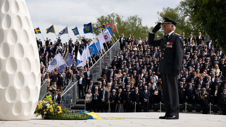 Foto: Niklas Englund/Försvarsmakten