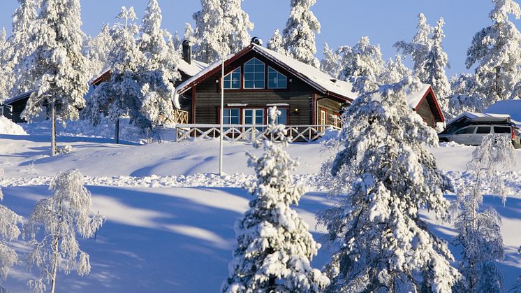 Fjällstuga 2