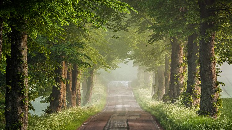 Foto: Anders Tukler