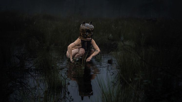 traskraet-1024x819