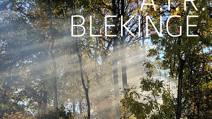 A.I.R. Blekinge - Konstnärsresidens i Blekinge