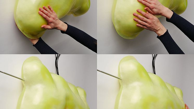 Unpredictable Flesh - Nya digitala hantverk, materialforskning och upplevelser i interaktiv arkitektur