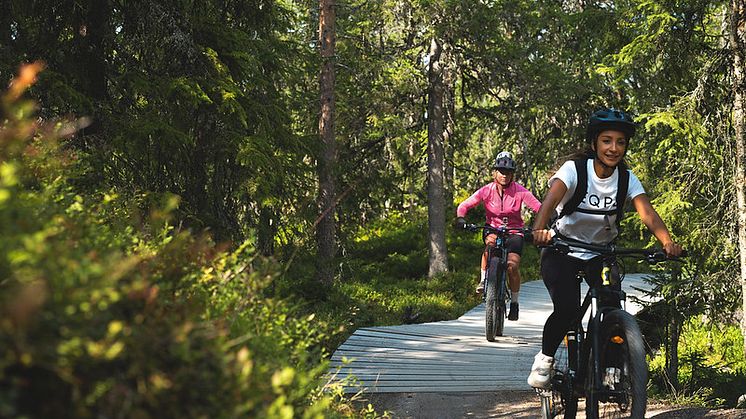 Cykling fjällen
