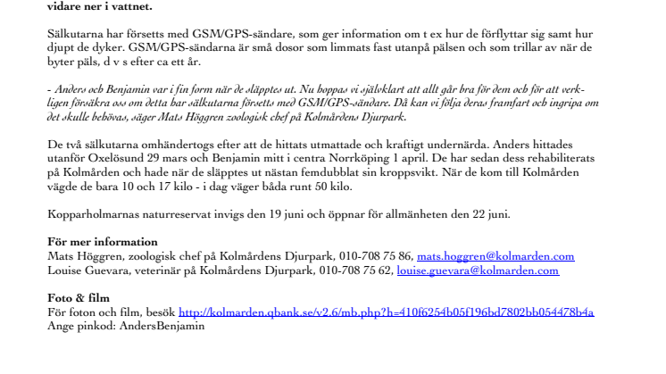 Sälkutarna Anders och Benjamin har släppts ut